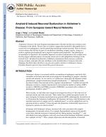Amyloid-β Induced Neuronal Dysfunction in Alzheimer’s Disease: From Synapses toward Neural Networks