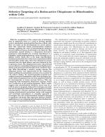Selective Targeting of a Redox-active Ubiquinone to Mitochondria within Cells