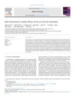 Redox homeostasis in cardiac fibrosis: Focus on metal ion metabolism