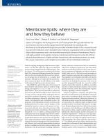 Membrane lipids: where they are and how they behave
