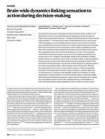 Brain-wide dynamics linking sensation to action during decision-making