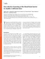 Size-selective loosening of the blood-brain barrier in claudin-5-deficient mice