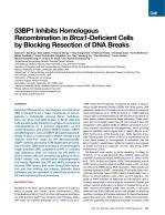 53BP1 Inhibits Homologous Recombination in Brca1-Deficient Cells by Blocking Resection of DNA Breaks