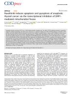Ruxolitinib induces apoptosis and pyroptosis of anaplastic thyroid cancer via the transcriptional inhibition of DRP1-mediated mitochondrial fission