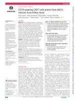 CD19-targeting CAR T cells protect from ANCA-induced acute kidney injury