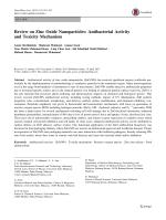 Review on Zinc Oxide Nanoparticles: Antibacterial Activity and Toxicity Mechanism
