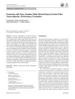 Featuring with Nano Alumina Made Hybrid Epoxy/Carbon Fiber Nanocomposite: Performance Evaluation