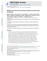 Mediator and Cohesin Connect Gene Expression and Chromatin Architecture