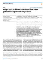 Bright and stable near-infrared lead-free perovskite light-emitting diodes
