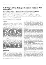 MethyLight: a high-throughput assay to measure DNA methylation
