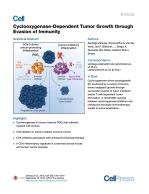 Cyclooxygenase-Dependent Tumor Growth through Evasion of Immunity