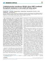 5-Methylcytosine transferase NSUN2 drives NRF2-mediated ferroptosis resistance in non-small cell lung cancer