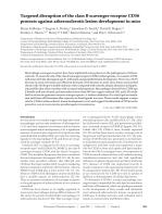 Targeted disruption of the class B scavenger receptor CD36 protects against atherosclerotic lesion development in mice
