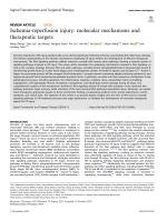 Ischemia-reperfusion injury: molecular mechanisms and therapeutic targets