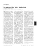 AKT plays a central role in tumorigenesis