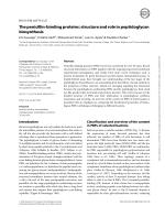 The penicillin-binding proteins: structure and role in peptidoglycan biosynthesis