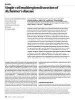 Single-cell multiregion dissection of Alzheimer’s disease