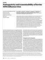 Pathogenicity and transmissibility of bovine H5N1 influenza virus
