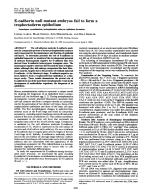 E-cadherin null mutant embryos fail to form a trophectoderm epithelium