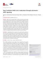 Nsp1 facilitates SARS-CoV-2 replication through calcineurin-NFAT signaling