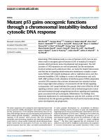 Mutant p53 gains oncogenic functions through a chromosomal instability-induced cytosolic DNA response