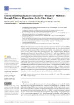 Dentine Remineralisation Induced by "Bioactive" Materials through Mineral Deposition: An In Vitro Study