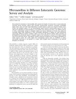 Microsatellites in Different Eukaryotic Genomes: Survey and Analysis