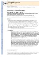 Inflammation in Diabetic Retinopathy