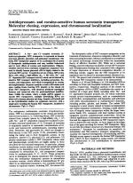 Antidepressant- and cocaine-sensitive human serotonin transporter: Molecular cloning, expression, and chromosomal localization (paroxetine/biogenic amine uptake/placenta)