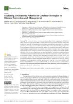 Exploring Therapeutic Potential of Catalase: Strategies in Disease Prevention and Management