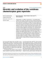 Diversity and evolution of the vertebrate chemoreceptor gene repertoire