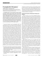 Prostaglandin E Receptors