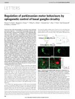 Regulation of parkinsonian motor behaviours by optogenetic control of basal ganglia circuitry