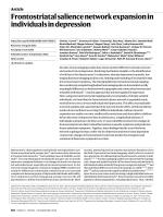 Frontostriatal salience network expansion in individuals in depression