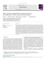 Histone lactylation-regulated METTL3 promotes ferroptosis via m6A-modification on ACSL4 in sepsis-associated lung injury