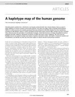 A haplotype map of the human genome