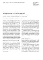 Mechanical properties of carbon nanotubes