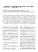 Transcriptome Changes for Arabidopsis in Response to Salt, Osmotic, and Cold Stress