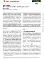 How mitochondria produce reactive oxygen species