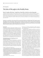 The Role of Microglia in the Healthy Brain