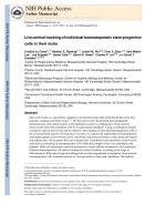 Live-animal tracking of individual haematopoietic stem/progenitor cells in their niche