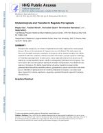 Glutaminolysis and Transferrin Regulate Ferroptosis