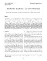 Mitochondrial Glutathione, a Key Survival Antioxidant