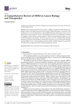 A Comprehensive Review of HER2 in Cancer Biology and Therapeutics