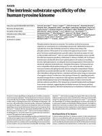The intrinsic substrate specificity of the human tyrosine kinome
