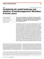 Deciphering the spatial landscape and plasticity of immunosuppressive fibroblasts in breast cancer