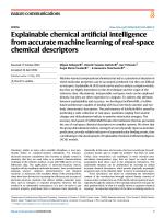 Explainable chemical artificial intelligence from accurate machine learning of real-space chemical descriptors