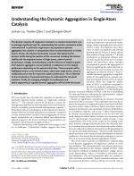 Understanding the Dynamic Aggregation in Single-Atom Catalysis
