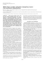 RING fingers mediate ubiquitin-conjugating enzyme (E2)-dependent ubiquitination