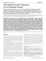 The Diploid Genome Sequence of an Individual Human